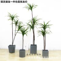 uploads/erp/collection/images/Home Garden/dgjiawang/XU0612861/img_b/XU0612861_img_b_1